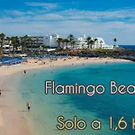 Apartment For Lanzarote Holidays House